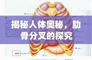 chenyuluoyan 第10页