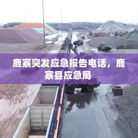 鹿寨突发应急报告电话,鹿寨县应急局