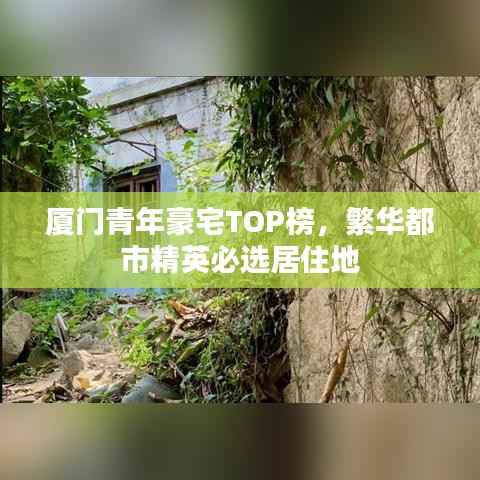 厦门青年豪宅TOP榜,繁华都市精英必选居住地