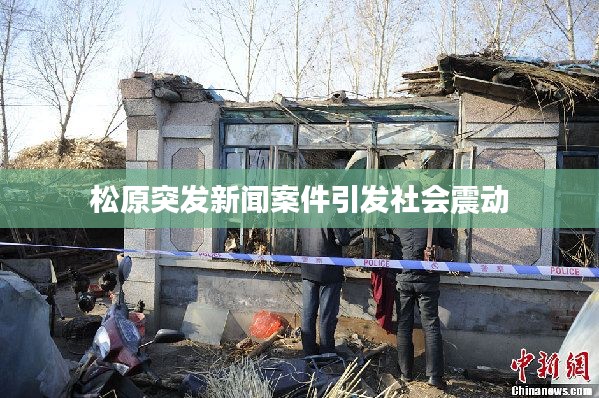 松原突发新闻案件引发社会震动