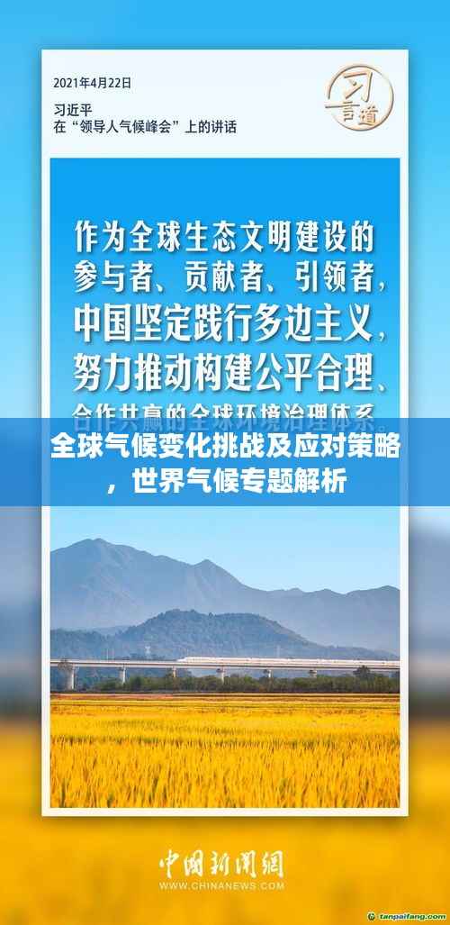 全球气候变化挑战及应对策略,世界气候专题解析