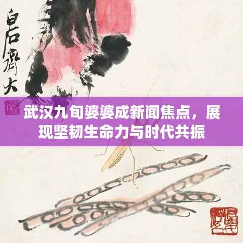 武汉九旬婆婆成新闻焦点，展现坚韧生命力与时代共振