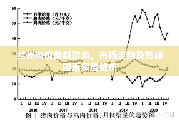 兰州肉价最新动态，市场走势及影响因素深度解析
