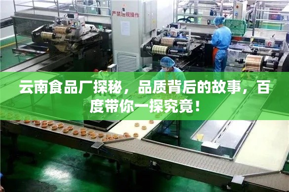 云南食品厂探秘,品质背后的故事,百度带你一探究竟!