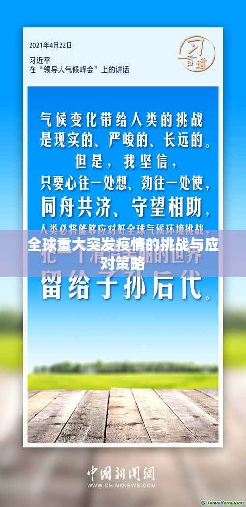 全球重大突发疫情的挑战与应对策略