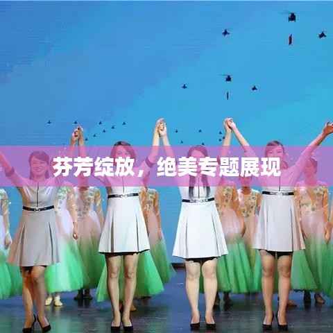 芬芳绽放，绝美专题展现