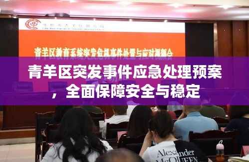 青羊区突发事件应急处理预案，全面保障安全与稳定