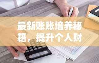 最新账账培养秘籍,提升个人财务管理能力的全面指南