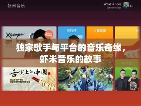 独家歌手与平台的音乐奇缘,虾米音乐的故事