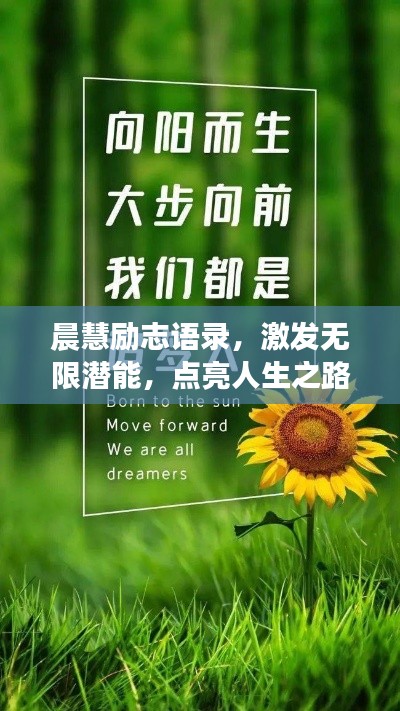晨慧励志语录，激发无限潜能，点亮人生之路