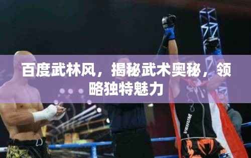 百度武林风,揭秘武术奥秘,领略独特魅力