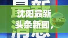 沈阳最新头条新闻,赵振洋引领城市新风向标