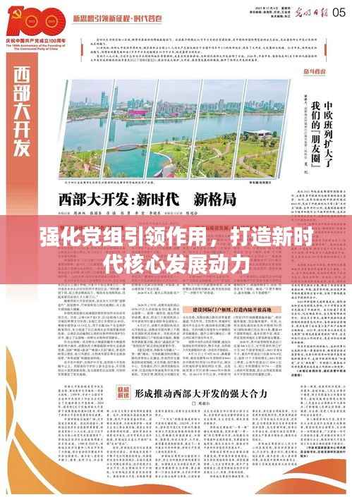 强化党组引领作用,打造新时代核心发展动力