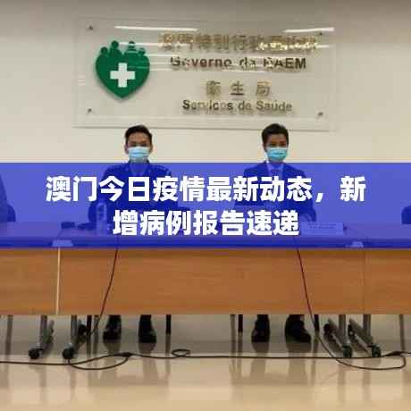 澳门今日疫情最新动态,新增病例报告速递