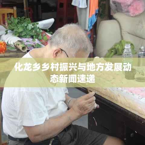 化龙乡乡村振兴与地方发展动态新闻速递