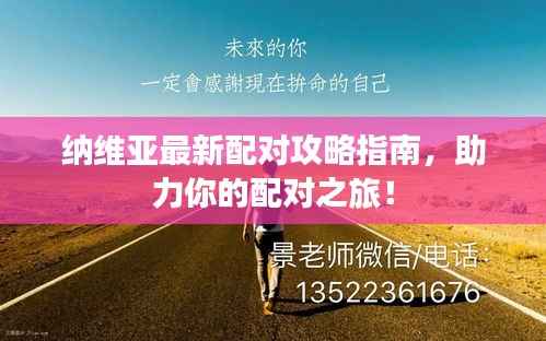 纳维亚最新配对攻略指南，助力你的配对之旅！