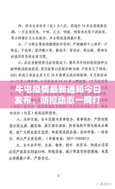 牛屯疫情最新通知今日发布,防控动态一网打尽!