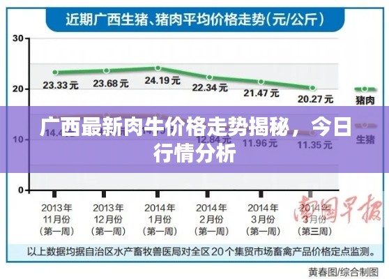 广西最新肉牛价格走势揭秘，今日行情分析