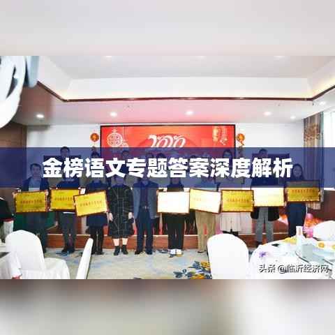 金榜语文专题答案深度解析