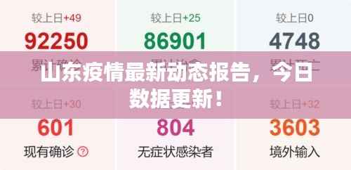 山东疫情最新动态报告,今日数据更新!