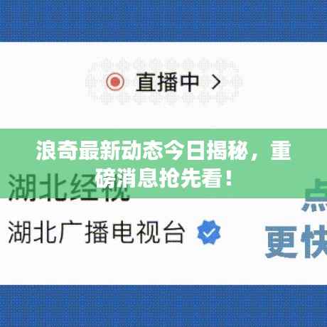 浪奇最新动态今日揭秘,重磅消息抢先看!