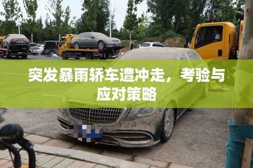 bingguishensu 第6页