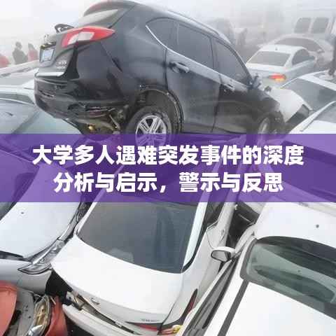 大学多人遇难突发事件的深度分析与启示,警示与反思