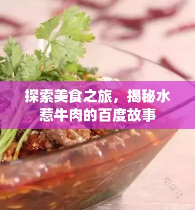 探索美食之旅,揭秘水惹牛肉的百度故事