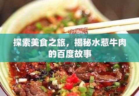 探索美食之旅,揭秘水惹牛肉的百度故事