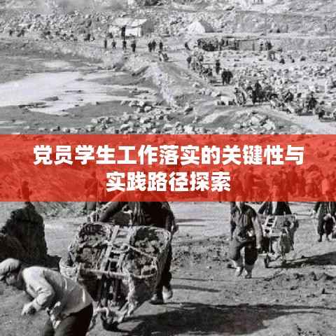 党员学生工作落实的关键性与实践路径探索
