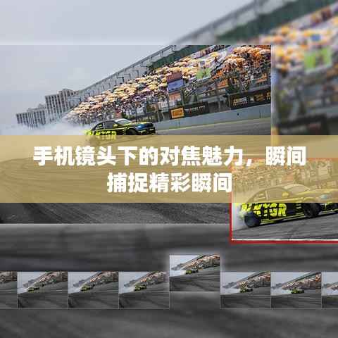 手机镜头下的对焦魅力,瞬间捕捉精彩瞬间