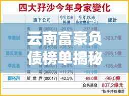 云南富豪负债榜单揭秘，前十名富豪的债务危机！