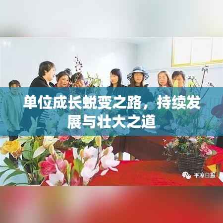 单位成长蜕变之路,持续发展与壮大之道