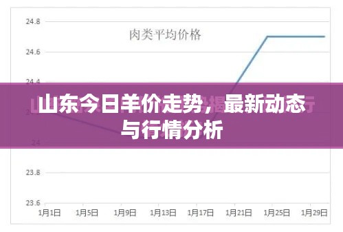 山东今日羊价走势,最新动态与行情分析