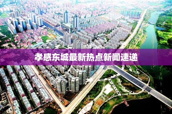 孝感东城最新热点新闻速递