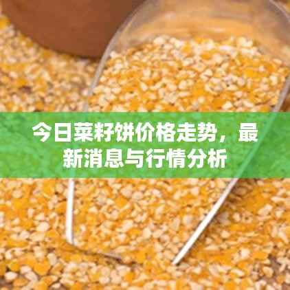 今日菜籽饼价格走势，最新消息与行情分析
