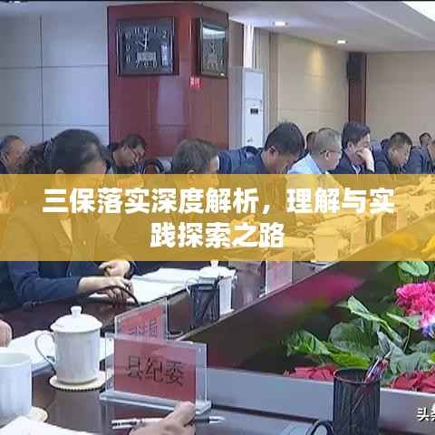 三保落实深度解析，理解与实践探索之路
