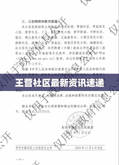 王营社区最新资讯速递