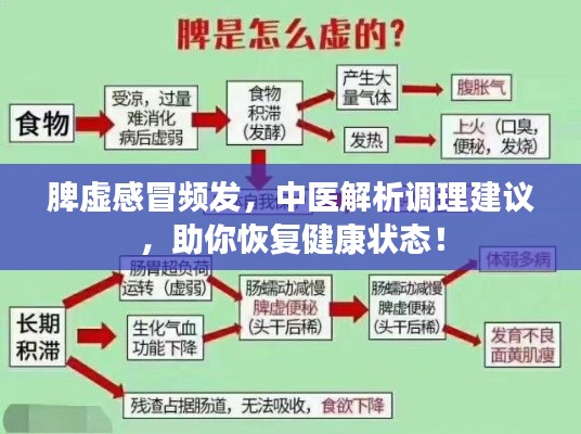 脾虚感冒频发，中医解析调理建议，助你恢复健康状态！