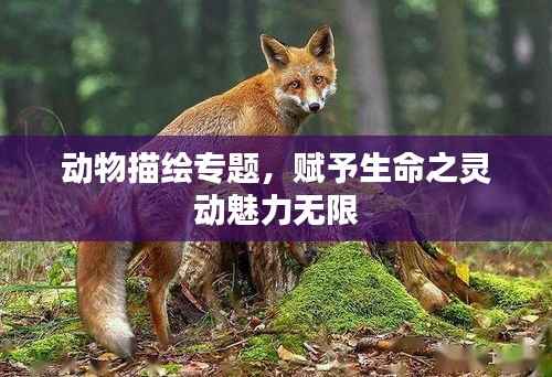 动物描绘专题,赋予生命之灵动魅力无限