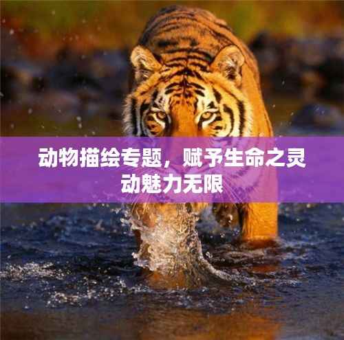 动物描绘专题,赋予生命之灵动魅力无限