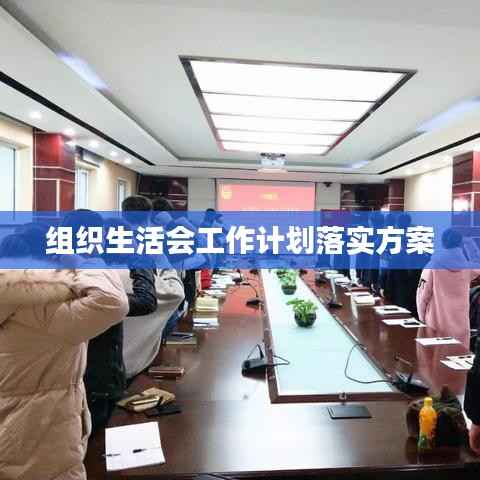 组织生活会工作计划落实方案