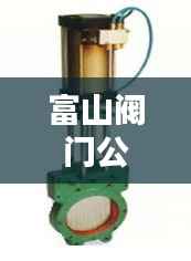富山阀门公司行业地位与影响力揭秘,排名及影响力不容小觑