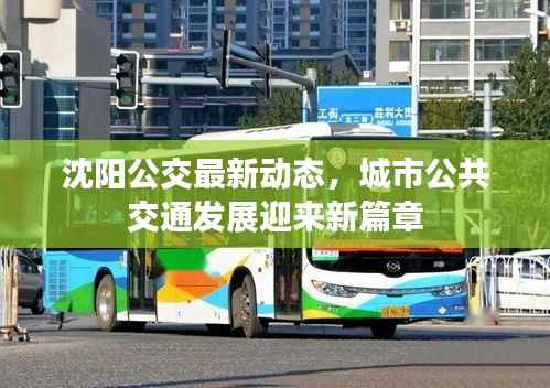 沈阳公交最新动态,城市公共交通发展迎来新篇章