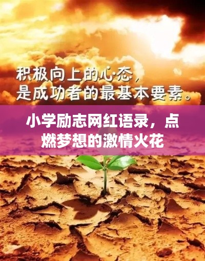 小学励志网红语录,点燃梦想的激情火花