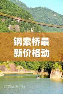 钢索桥最新价格动态及分析揭秘