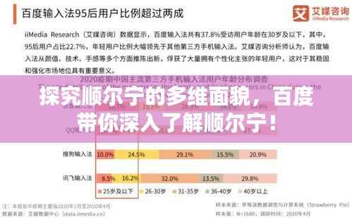 探究顺尔宁的多维面貌，百度带你深入了解顺尔宁！