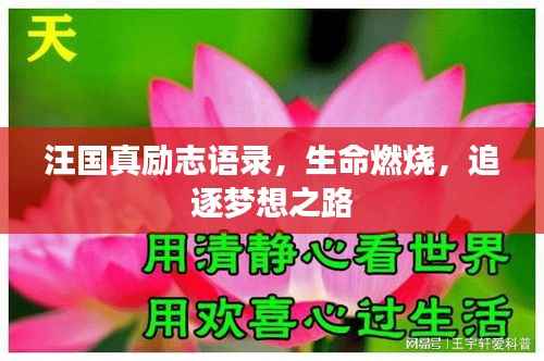 汪国真励志语录,生命燃烧,追逐梦想之路